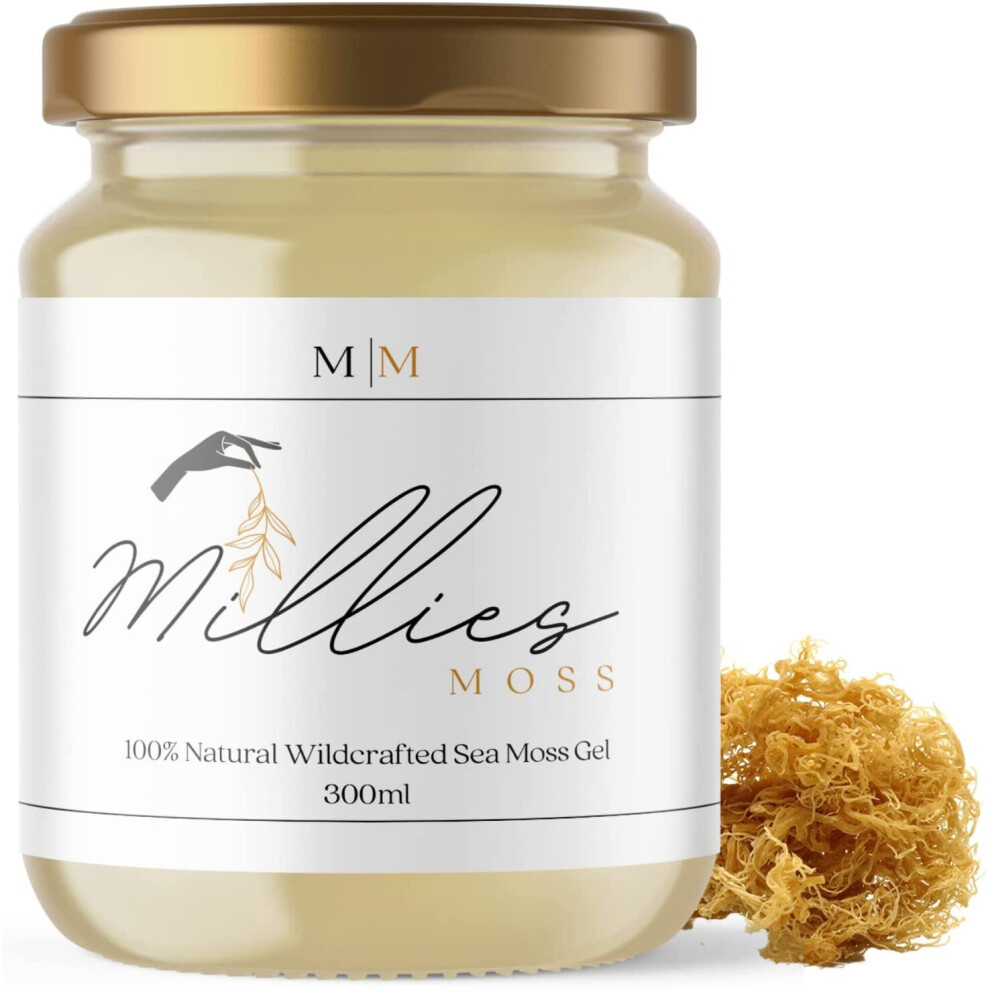 (720ml) Millies Moss Organic Caribbean Sea Moss Gel Wildcrafted Ethically Sourced, Dr Sebi Approved Irish Moss Vegan Friendly, Made To Order