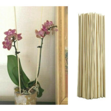 Bamboo Wooden Plant Sticks Pack of 5 Wood Canes Garden Plants Support