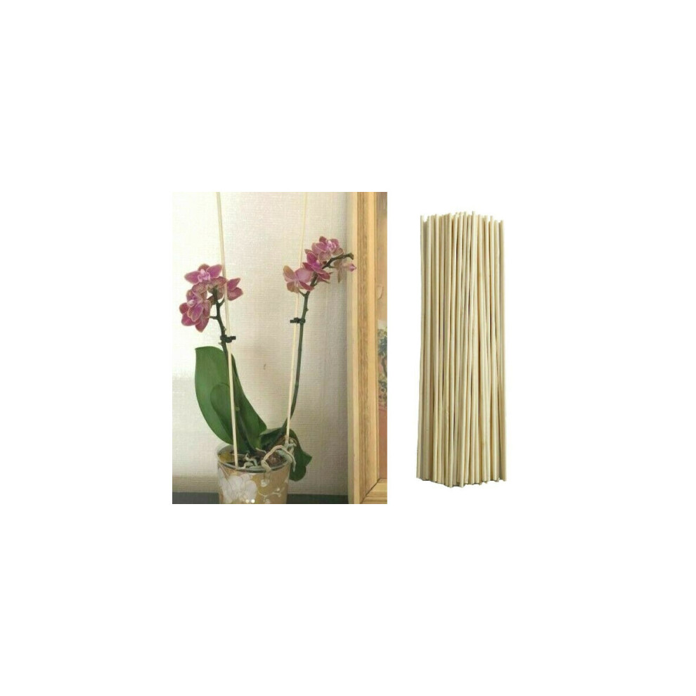 Bamboo Wooden Plant Sticks Pack of 5 Wood Canes Garden Plants Support