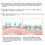 (2.5MM) Derma Roller Micro Needle Titanium Tips Mesoroller Body Face Treatment 8