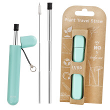 (Mint) Metal Drinking Straws Outdoor Travel Collapsible BPA Free Safe Reusable Portable