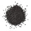 Nigella Seeds 170g Pot 2