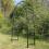 Selections Metal Knightsbridge Garden Arch 2
