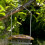 Selections Copper Style Hanging Bird Nut Feeder 6