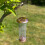 Selections Copper Style Hanging Bird Nut Feeder 3
