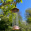 Selections Copper Style Hanging Bird Nut Feeder 4