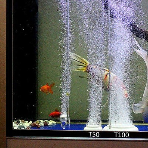 (130mm) Aquarium Bubble Air Stoxics Disk 1