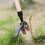 Easy Weeding Avoids Regenerating Weeding Tools Without Bending Or Kneeling 5