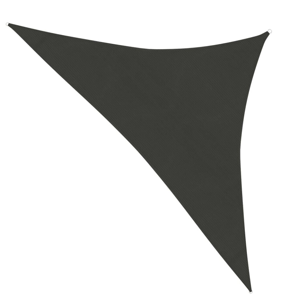 vidaXL Sunshade Sail 160 g/m? Anthracite 4x4x5.8 M HDPE Sunscreen Shade Canopy