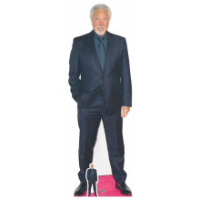 Tom Jones (Welsh Singer) Lifesize + Mini Cardboard Cutout / Standee