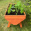Selections Veg-Trough Large Wooden Raised Vegetable Bed Planter 6