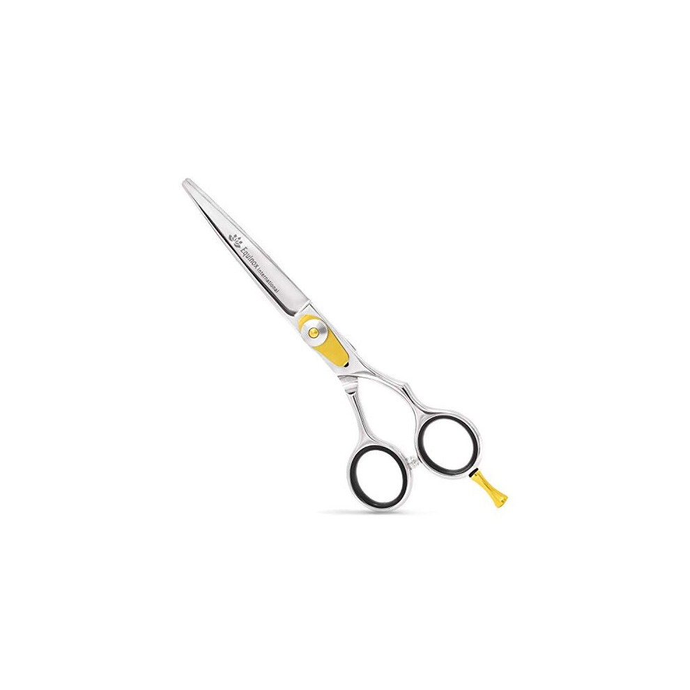 Equinox International Equinox Professional Hairdressing Scissors/Shears - (6.5 Inches) Adjustment Tension Screw, 100% Stainless Steel Barber Scissors