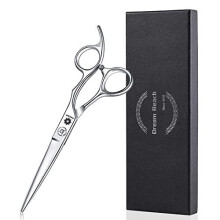 Professionella Hårklippningssaxar Barber Shears Dream Reach 6,0 tum