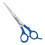 Kiepe Sonic 6" Scissors 1