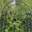 Selections Metal Amalfi Garden Arch 4