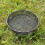 Selections Bird Feeding Station Metal Seed Mesh Dish Tray 5