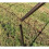 Selections Metal Stand Pole for Bird Feeding Stations 3