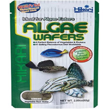 Hikari Algae Wafers [Sng] 82G