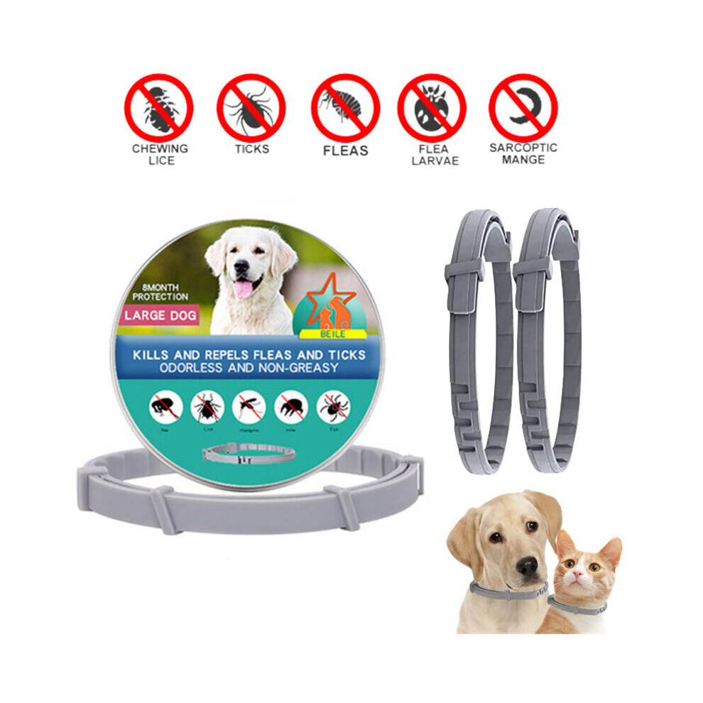 Extendable Pet Flea Collar Antiparasitic Necklace Personalized  Anti Flea and Tick Big Dog Pupp