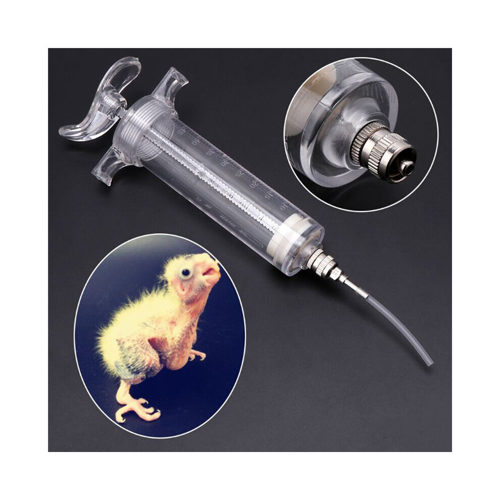 Parrot Chick Feeding Rearing Gavage Head Syringe Hose Birds Manual Feeding Syringe Injector Sup