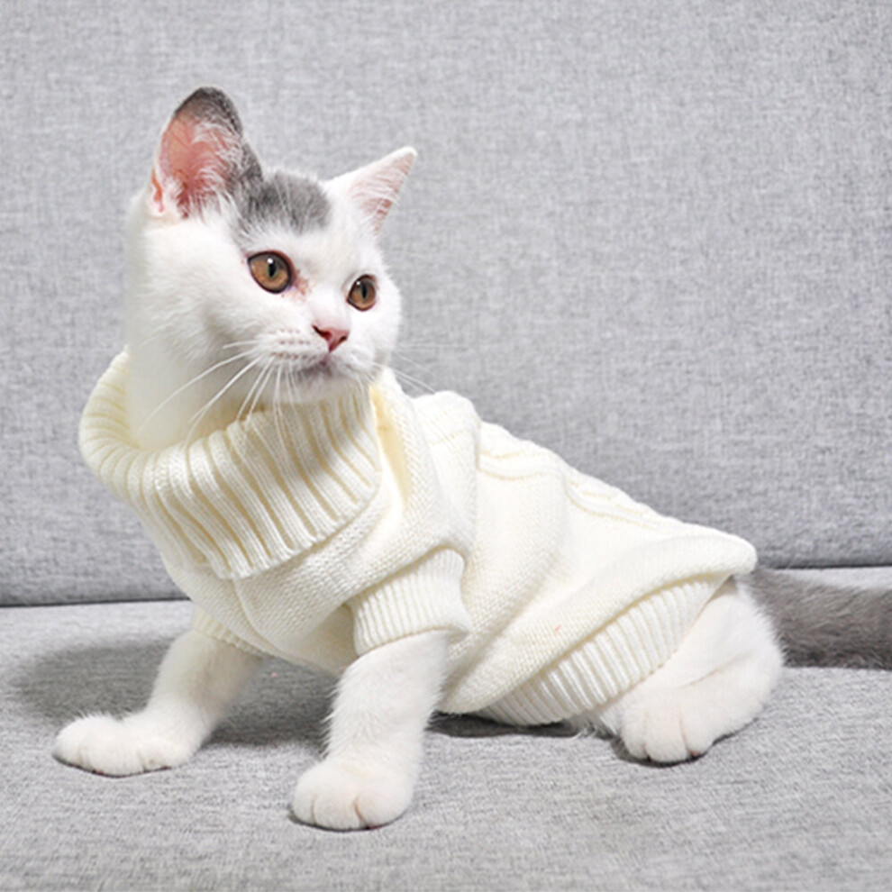 Cat in sweater vest best sale