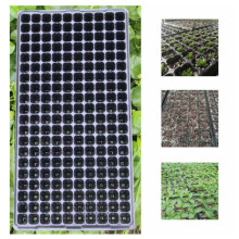 200 Cell Seedling Starter Tray Seed Germination Plant Propagation