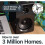Majority D40 Bookshelf Speakers - Black 4