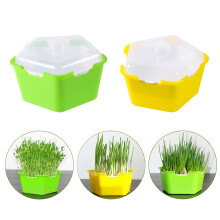Pentagonal Plastic Sprout Planting Pot Box Bean Pea Sprouter Seedling Tray Wheat Grass Cat Gras
