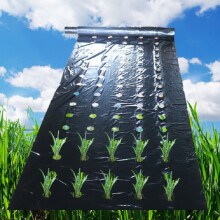 0.02mm 5Holes Black Film Hi-Quality Vegetable Garden Plants Grow Films Protection Cover Greenho