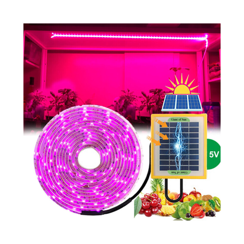 10M Solar Phytolamp For Seedlings - 5V Led Grow (2835) For Plants, Greenhouse/Hydroponic Cultivation Light