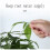 2021 New Smart Drip System Automatic Timer Watering Device Garden Water Pump Controller for Pot 6