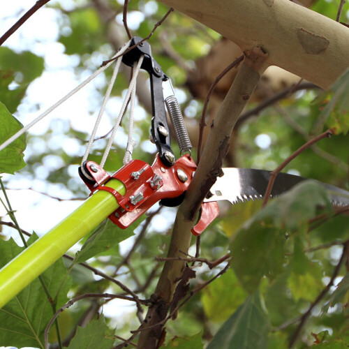High-Altitude Extension Lopper Branch Scissors Extendable Fruit Tree Pruning Saw Cutter Garden 2