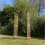 Selections Wooden Garden Arch with Curved Top (Tan) 2