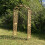 Selections Wooden Garden Arch with Curved Top (Tan) 7