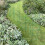 Selections Pack of 5 Conical Garden Plant Support Rings (75cm) 2