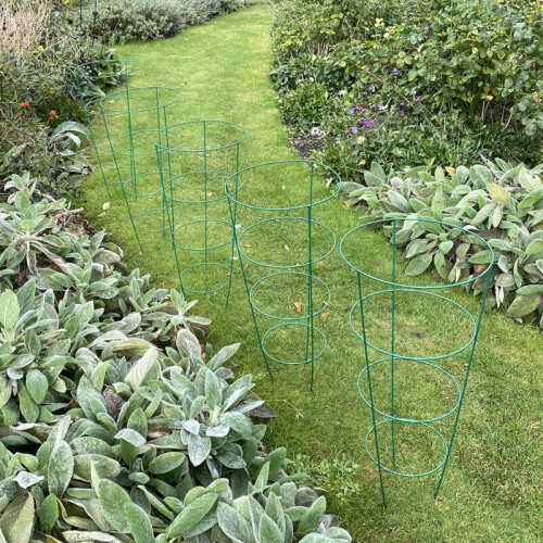 Selections Pack of 5 Conical Garden Plant Support Rings (75cm) 1