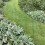 Selections Pack of 5 Conical Garden Plant Support Rings (75cm) 8