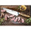 ZWILLING INTERCONTINENTAL 20cm Chef's Knife, 290th Anniversary 11
