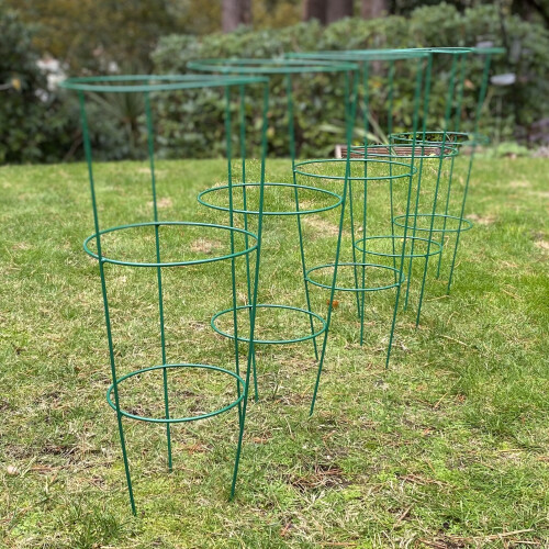 Selections Pack of 5 Conical Garden Plant Support Rings (60cm) 1