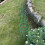 Selections Pack of 5 Conical Garden Plant Support Rings (48cm) 3