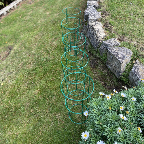 Selections Pack of 5 Conical Garden Plant Support Rings (48cm) 2