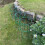 Selections Pack of 5 Conical Garden Plant Support Rings (48cm) 4