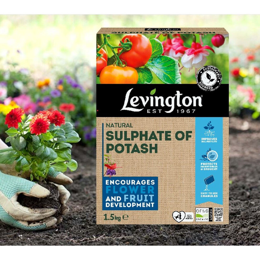 Levington Organic Sulphate Of Potash High Potassium Fertiliser 1.5kg