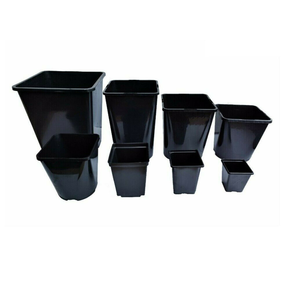 (0.75L / 9cm, 80) Elixir Gardens Square Plastic Plant Pots Reusable Quality | 0.25, 0.75, 1, 2, 3, 5, 5.5 & 11 Litre Sizes | Quantity 1 - 1500
