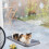 Hammock for Cats 4