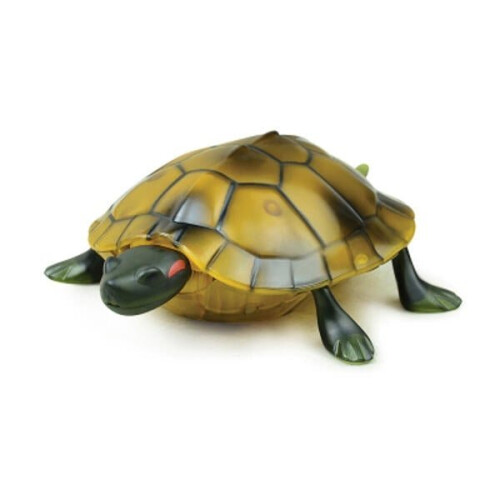() Infrared Electric RC Tortoise Simulation Remote Control Turtle Kid Toy