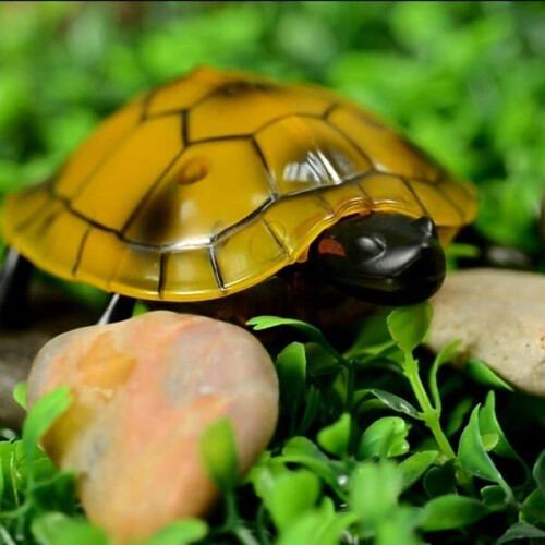 () Infrared Electric RC Tortoise Simulation Remote Control Turtle Kid Toy 2
