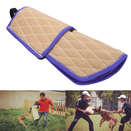 Pet Training Bite Sleeve Arm Protection Intermediate Working Trainer Police Young 2