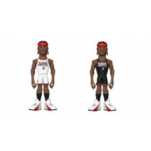 Funko Gold 12 NBA LG: 76ers- Allen Iverson With Chase Assortment (2)