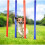 4x Slalom Sticks for Agility 4